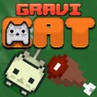 بازی Gravity Cat گربه ماجراجو فکری