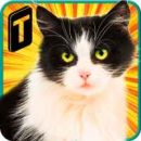 بازی اندروید Street Cat Sim