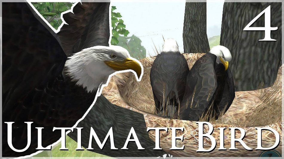 Ultimate Bird Simulator