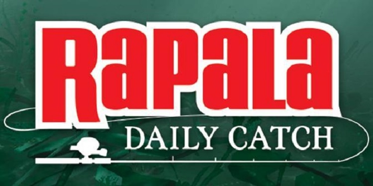 بازی اندروید Rapala Fishing - Daily Catch 1.4 – بازی ماهیگیری + مود